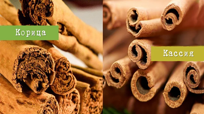 Корица vs кассия: какие между ними различия?