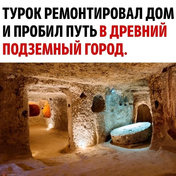 Какая находка! Теперь это часть национального достояния