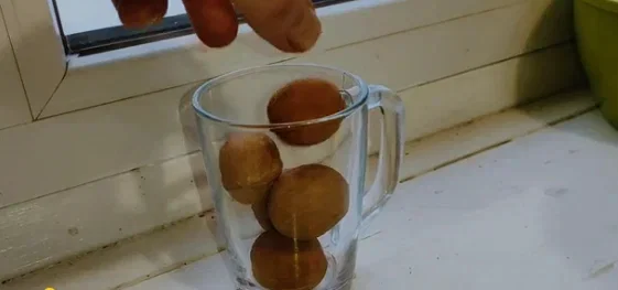 Секреты скупщиков: как очищают грецкие орехи, не повреждая ядро