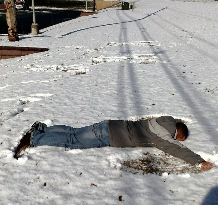 16 трогательных снимков людей и животных, впервые увидевших снег