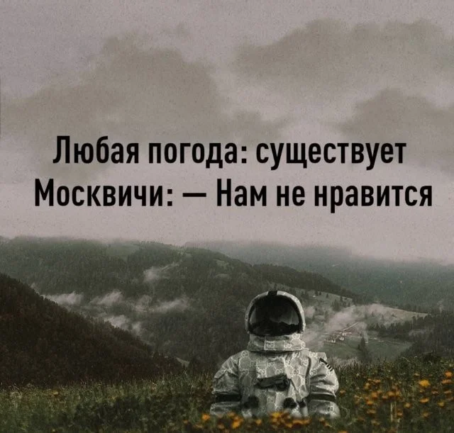 Скрины из соцсетей