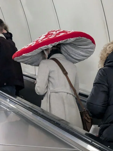 ФотоВсячина