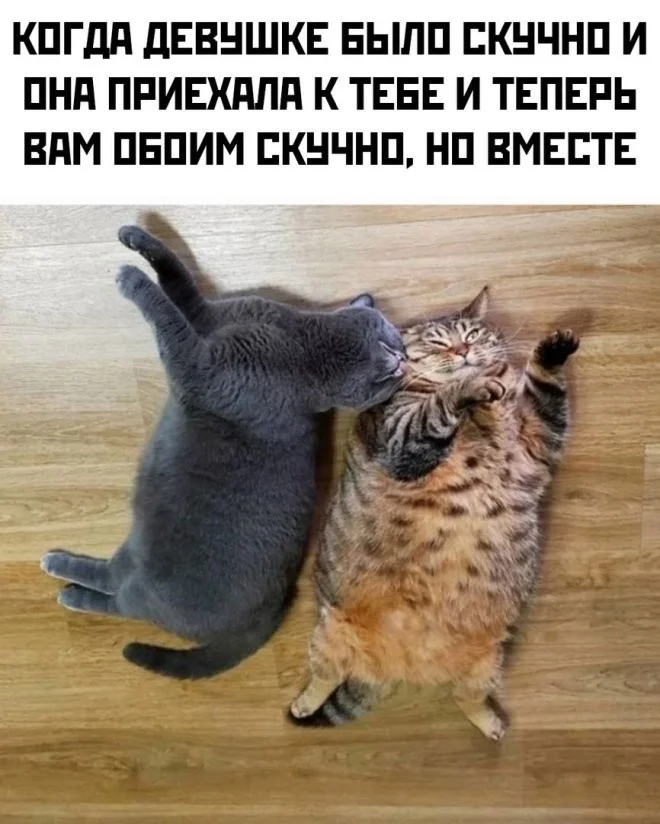 Скрины из соцсетей