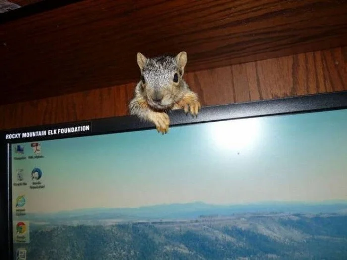 Намешалось: Красивые и интересные картинки