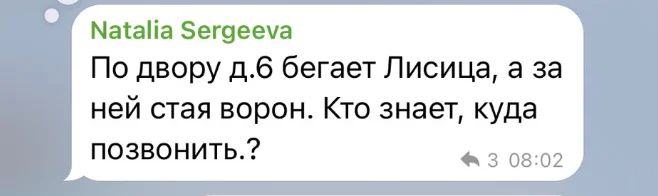 Чат дома: переписки, мгновенно разоблачающие неадекватных соседей