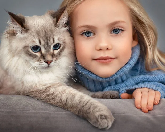 Подборка картинок на общую тему