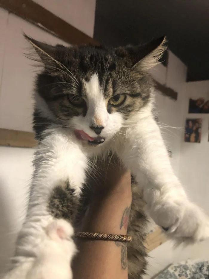 17 владельцев, которые и не подозревали, что их покупка обернётся проблемами