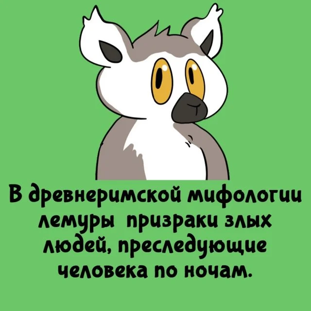 Любопытные факты, которые пригодятся каждому