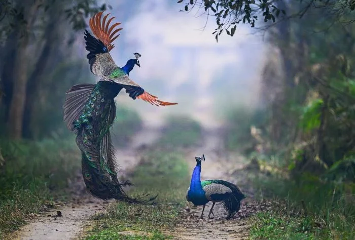 Подборка картинок на общую тему