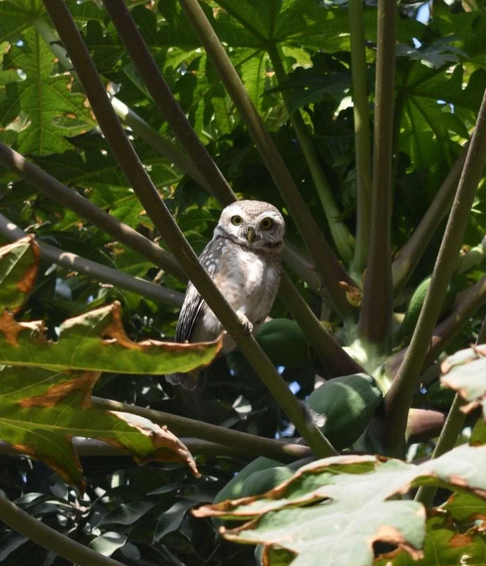 Подборка картинок на общую тему