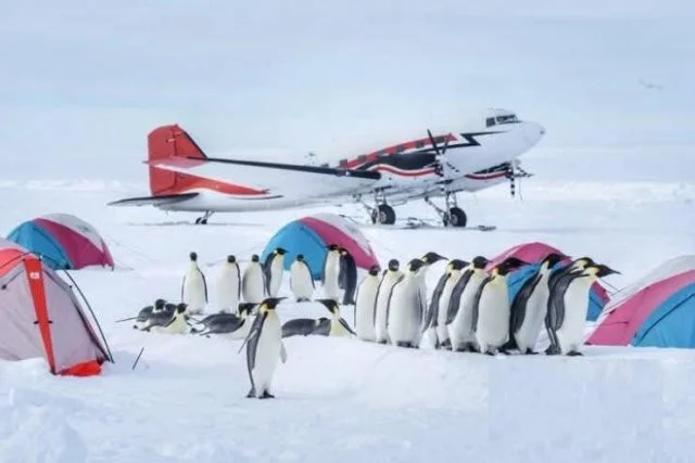 Намешалось