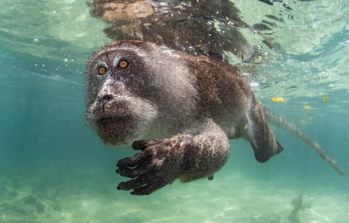 Подборка картинок на общую тему