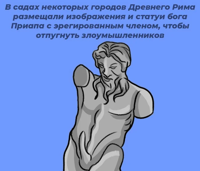 Сексуальная правда: 10 фактов, которым не научат в школе #31