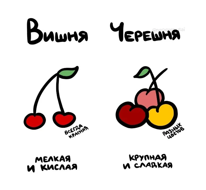 Знай разницу! Различий пост #35