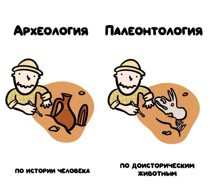 Знай разницу! Различий пост #5