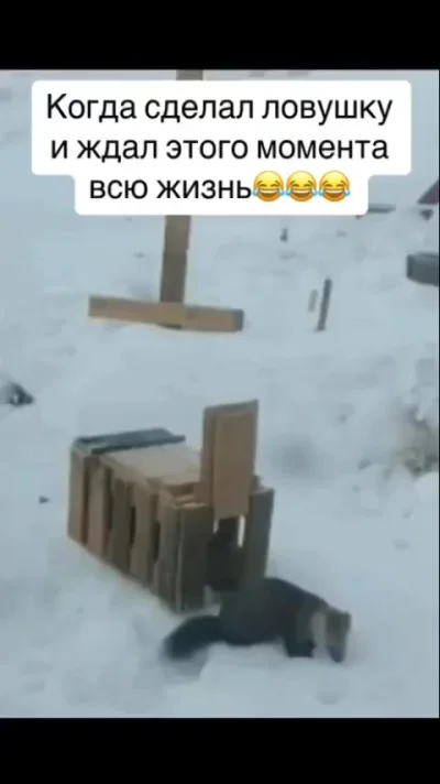 Мастер охоты