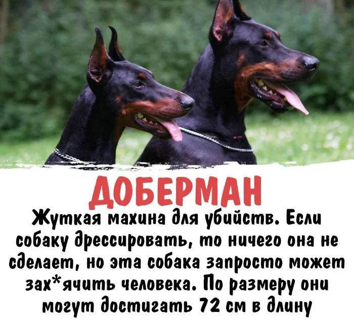 Интересная биология #36