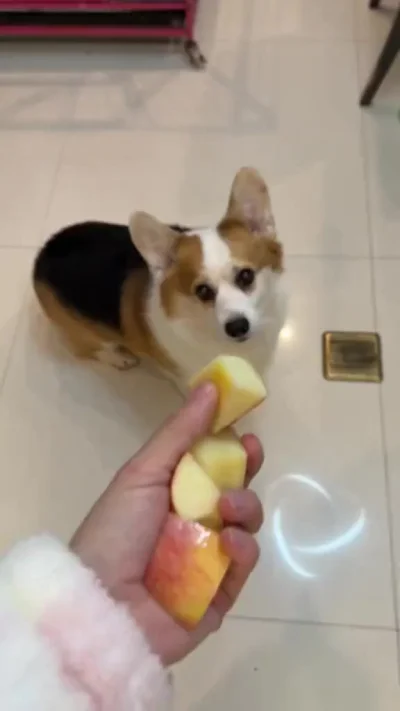 Этому дала и этому дала...