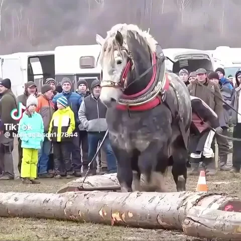 Когда в детстве ел кашу