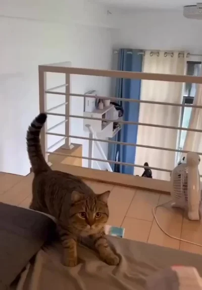 Игра в мячик