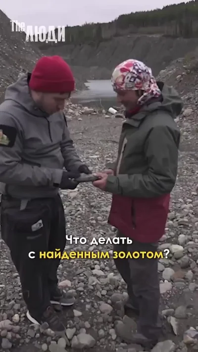 Искать не запрещено