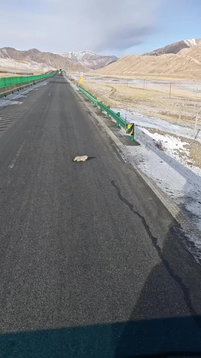 Разъездились тут...⁠⁠
