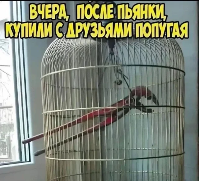 Немного забавных картинок