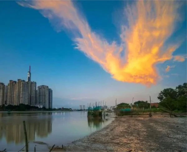 Фото Рулетка