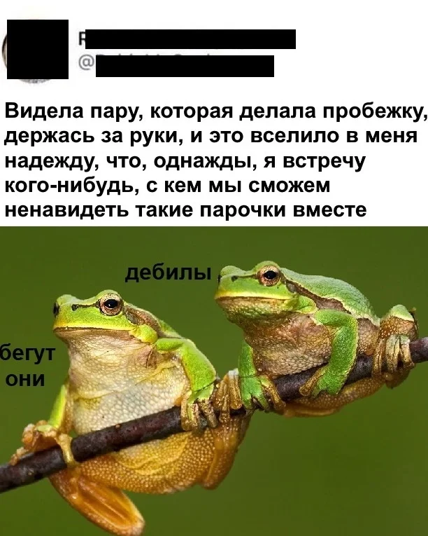 Веселые картинки подъехали