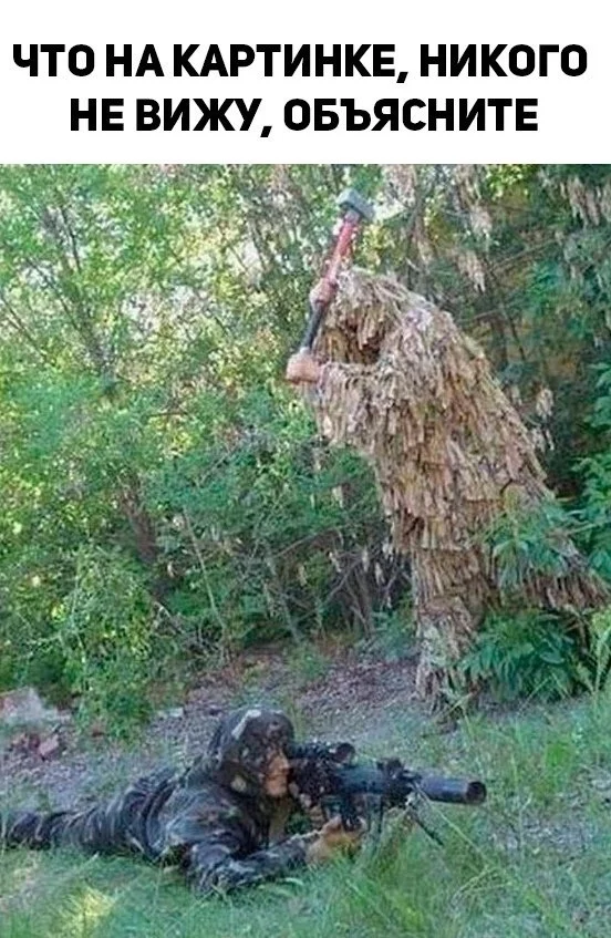 Веселые картинки подъехали