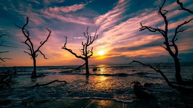 ФотоВинегрет