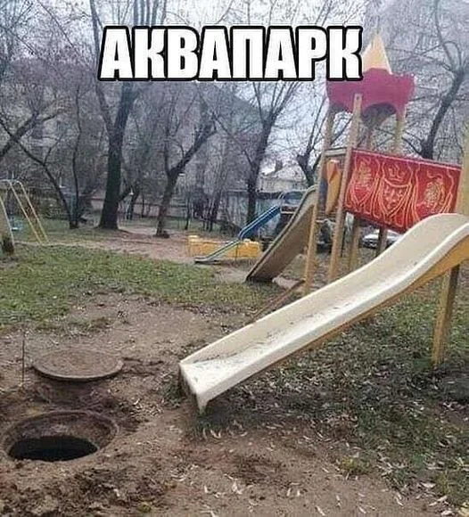 Смешнявые картинки
