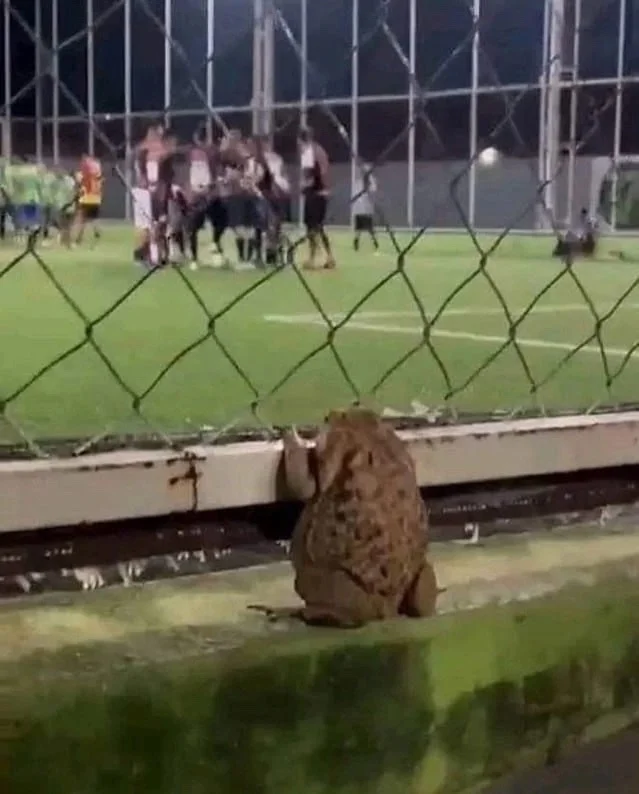 Свежие прикольные картинки