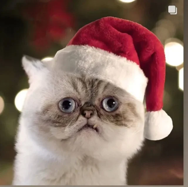 Праздничное настроение