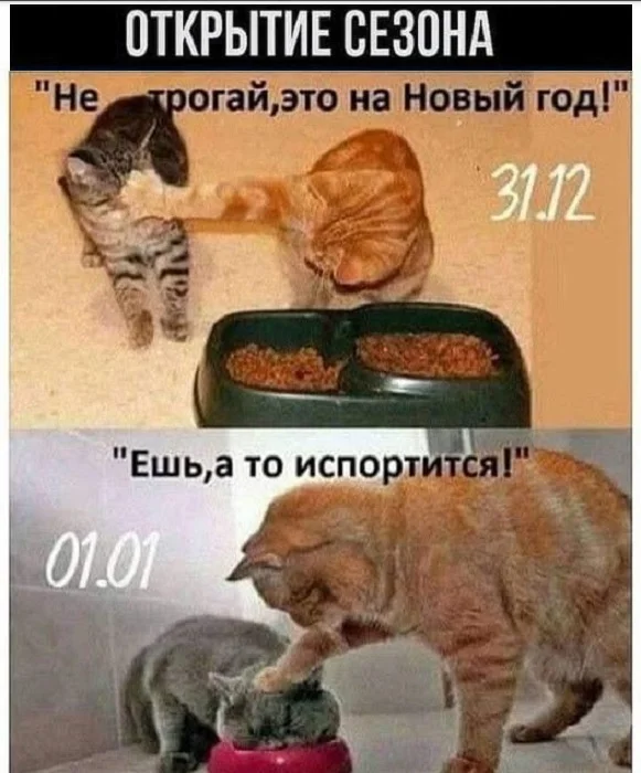 Картинки разные | uCrazy.org