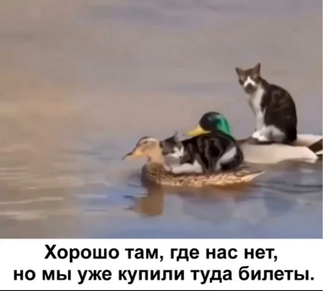 Баянный взрыв