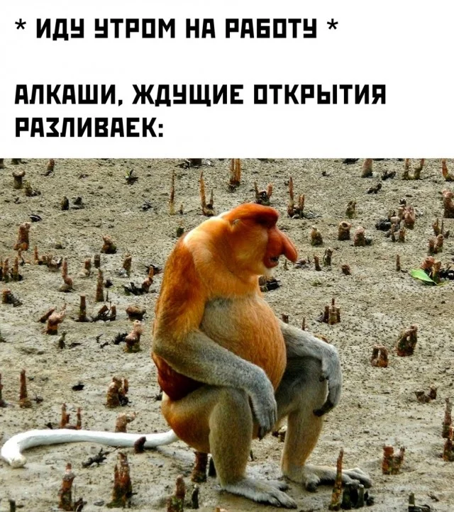 Классные и веселые картинки! | uCrazy.org
