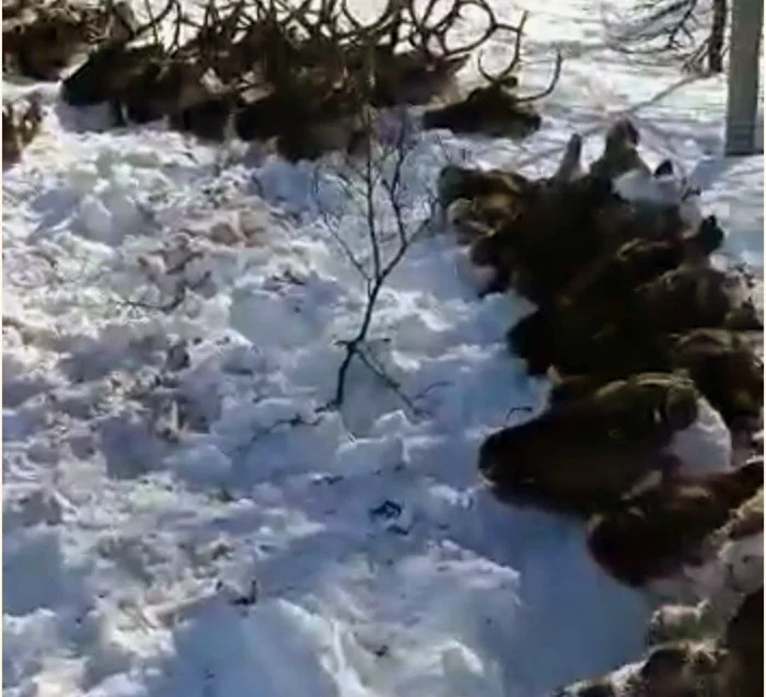 Когда преступление остаётся безнаказанным