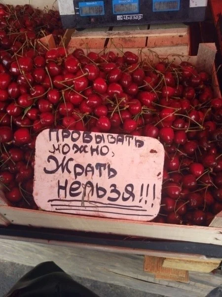 Забавные ценники: 19 примеров, которые невозможно не заметить