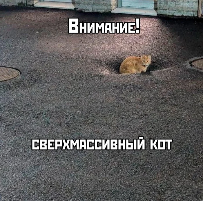 Лучшие скриншоты из соцсетей