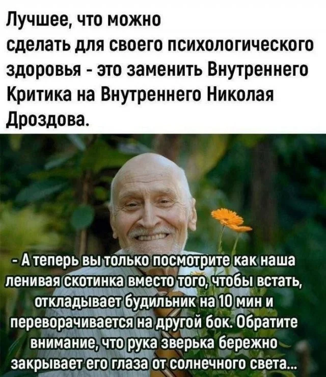 Лучшие скриншоты из соцсетей