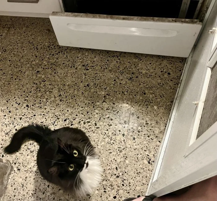 20 случаев, которые люди мечтали бы стереть из памяти