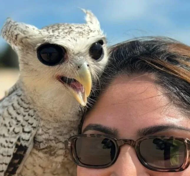 Снова намешалось