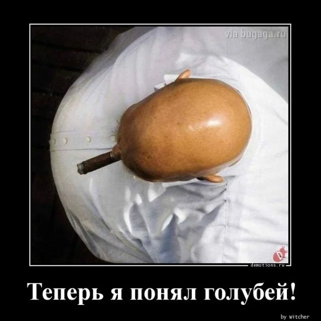 Демотиваторы для отличного настроения