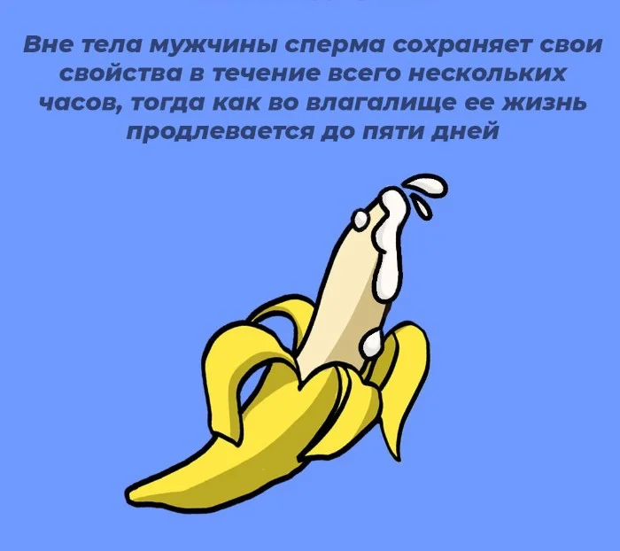 Сексуальная правда: 10 фактов, которым не научат в школе #44