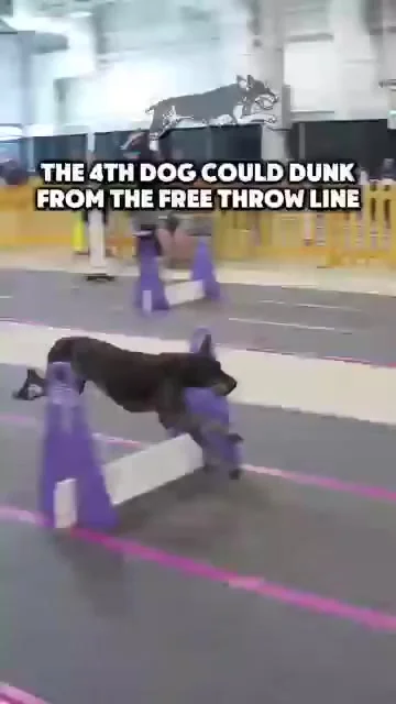 "к дождю..."⁠⁠