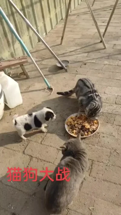 Этаниплов