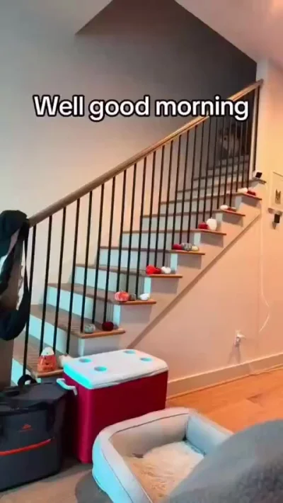 Баси против лестниц