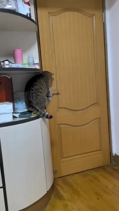 Сколько у него высших образований?⁠⁠