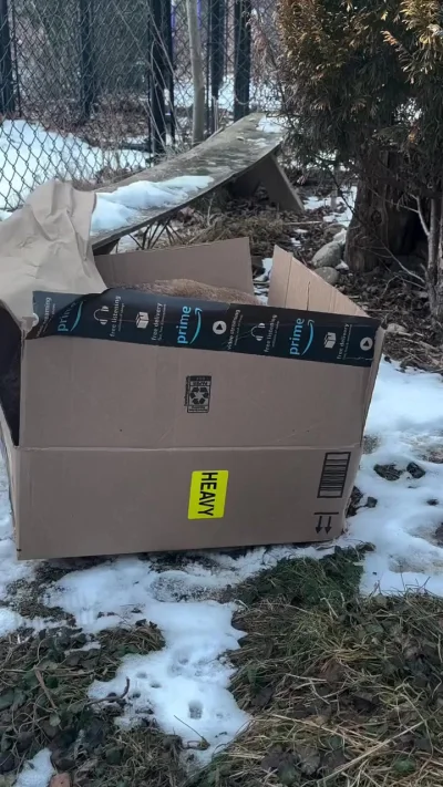 Коробка, шуршит - кайф